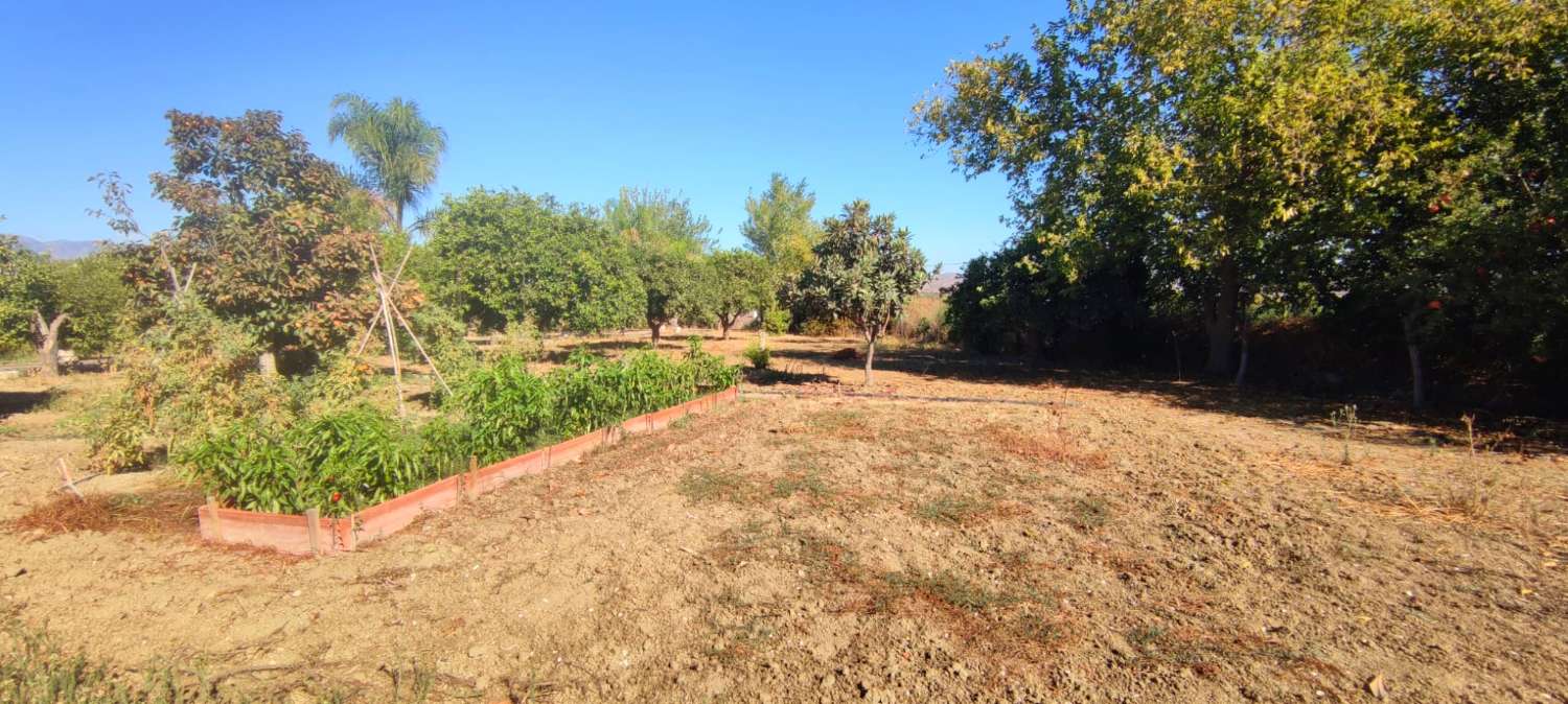 Preciosa casa de campo en parcela de 3.300m2 en Cártama