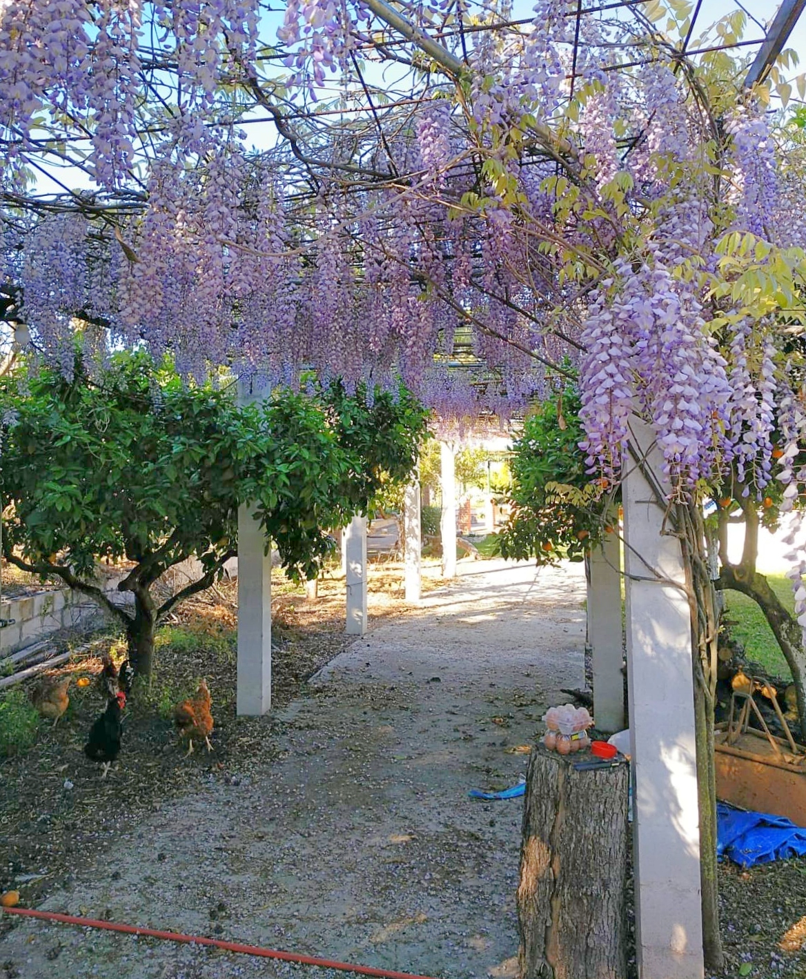 Preciosa casa de campo en parcela de 3.300m2 en Cártama