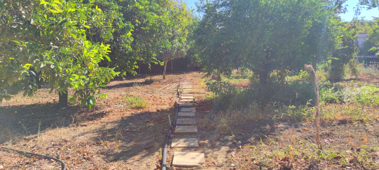 Preciosa casa de campo en parcela de 3.300m2 en Cártama