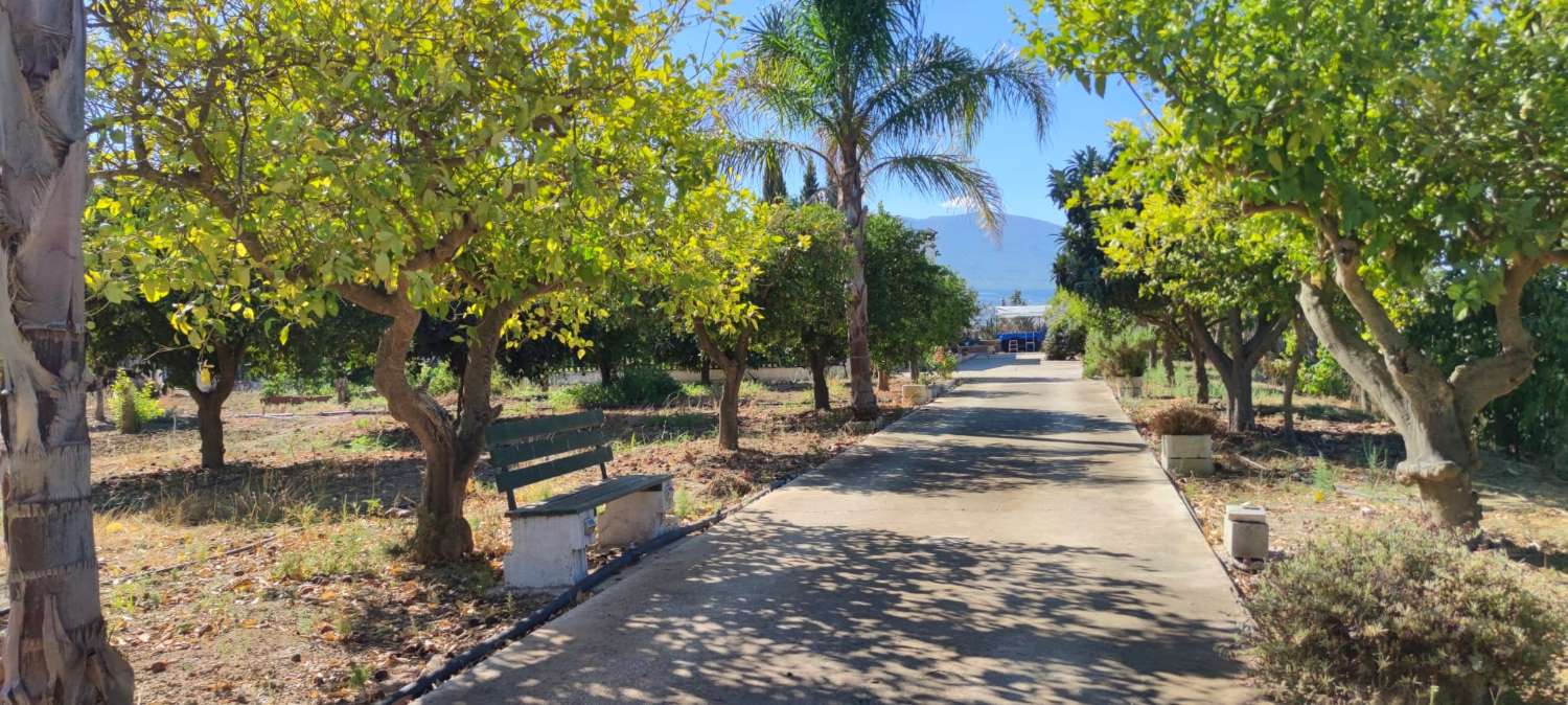 Preciosa casa de campo en parcela de 3.300m2 en Cártama