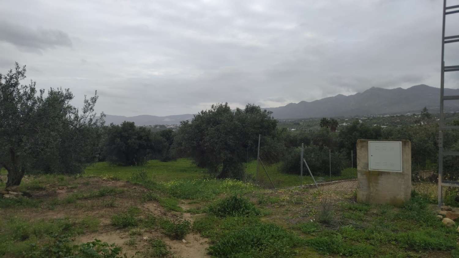 Rustic plot of 8,500 m2 with well and access to the electricity grid
