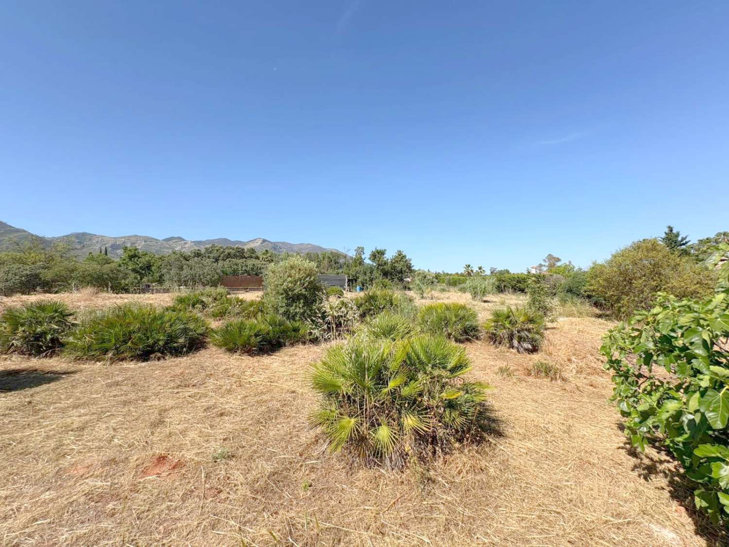Casa de campo en la zona de La Alquería con vivienda escriturada y registrada.