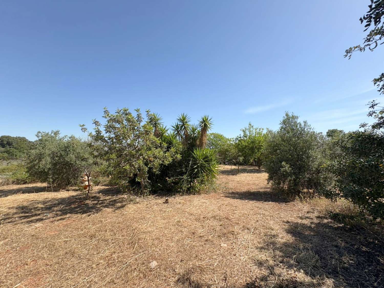 Casa de campo en la zona de La Alquería con vivienda escriturada y registrada.
