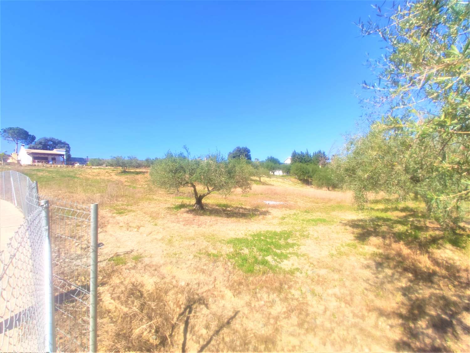 Finca Rustica en La Alquería con Casa