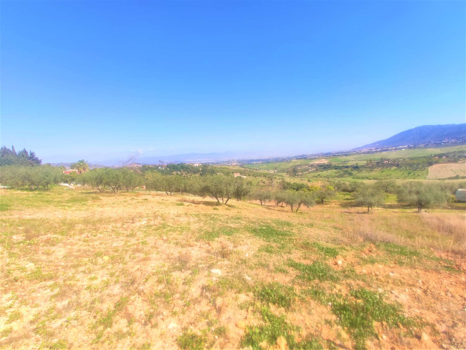 Finca Rustica en La Alquería con Casa