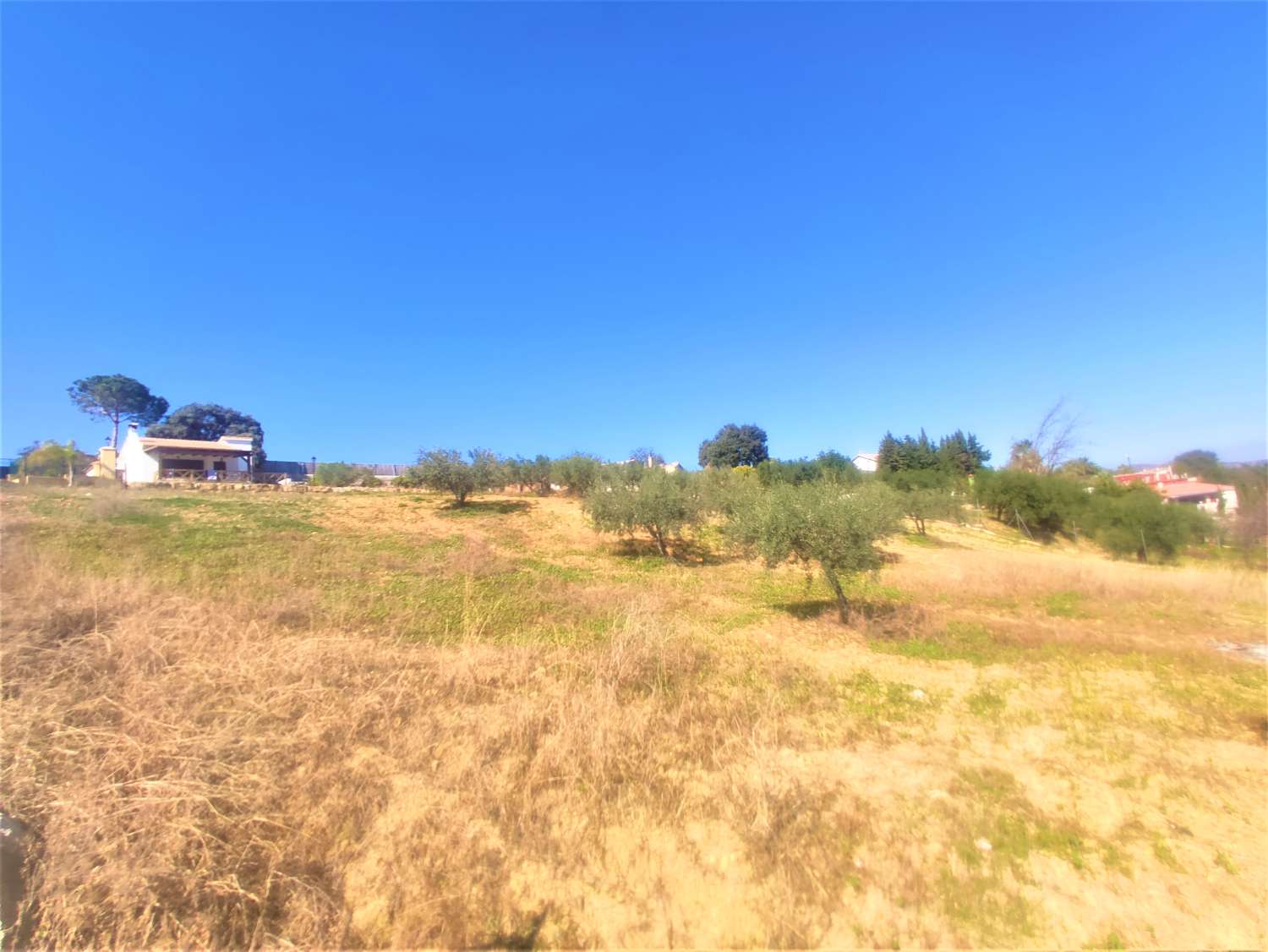 Finca Rustica en La Alquería con Casa