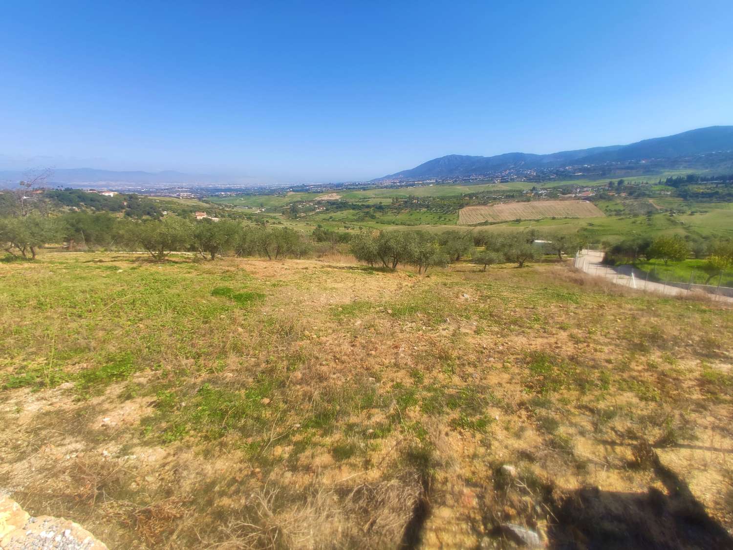 Finca Rustica en La Alquería con Casa