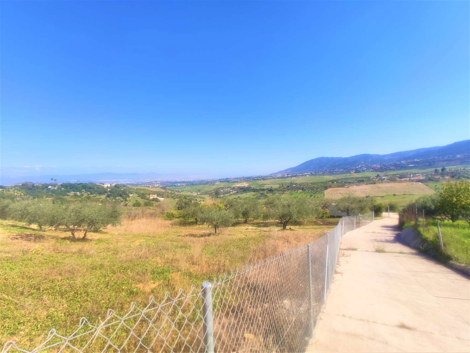 Finca Rustica en La Alquería con Casa