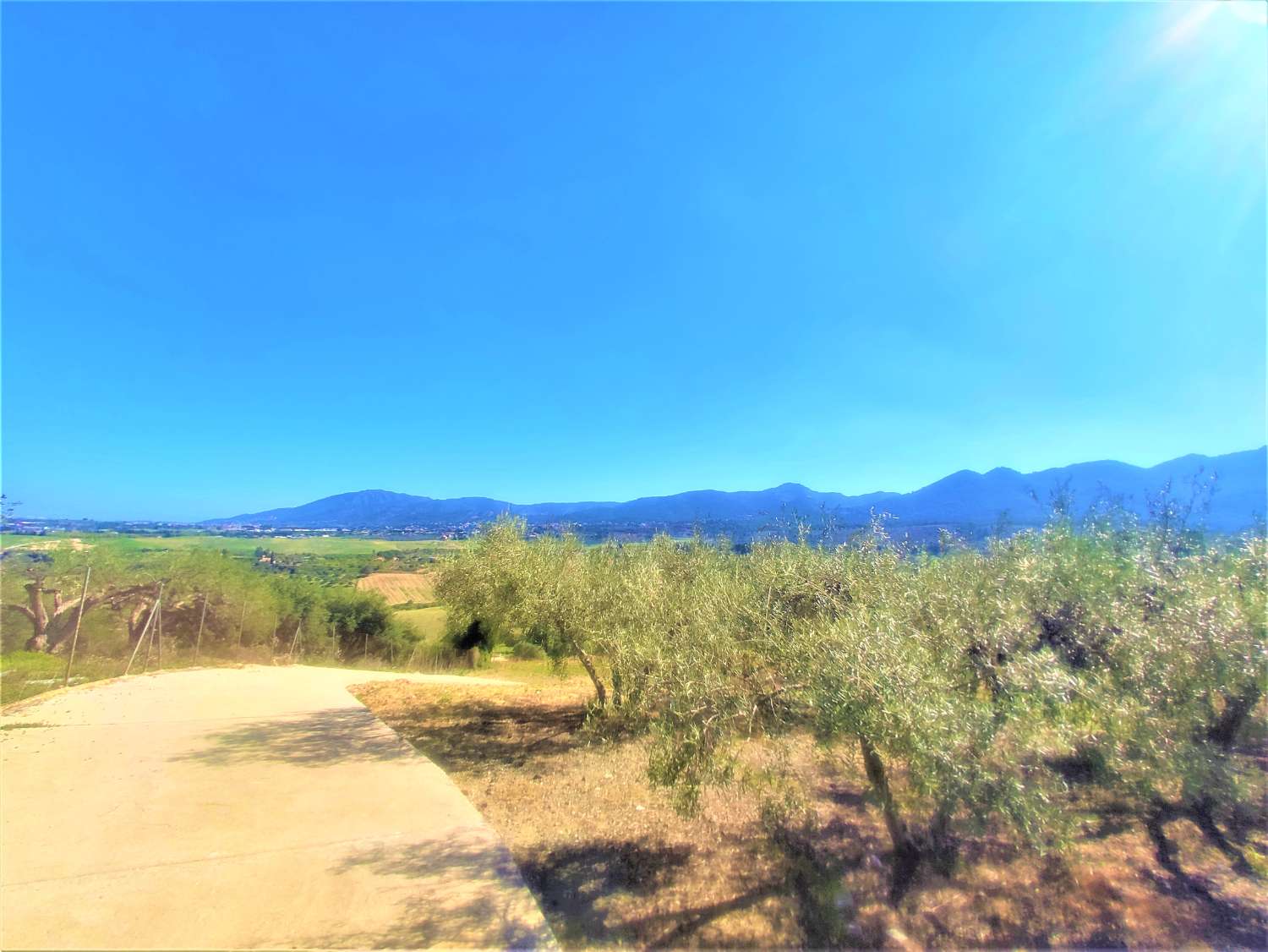 Finca Rustica en La Alquería con Casa