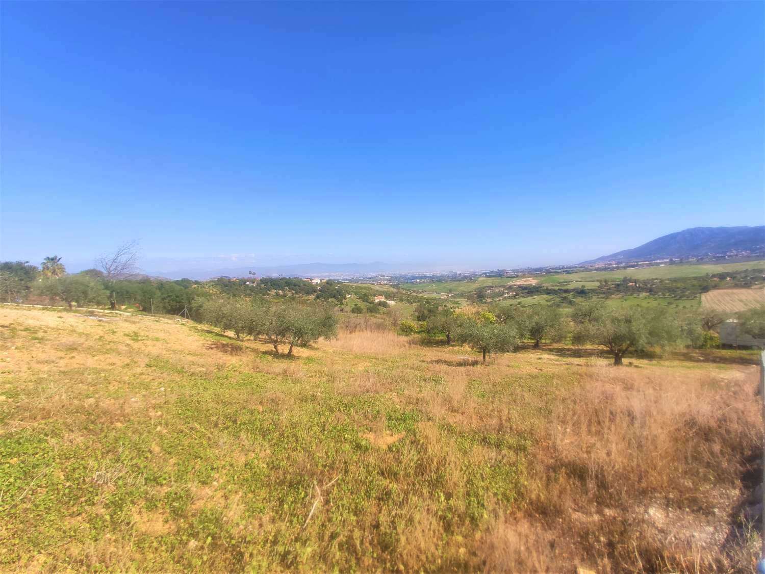 Finca Rustica en La Alquería con Casa