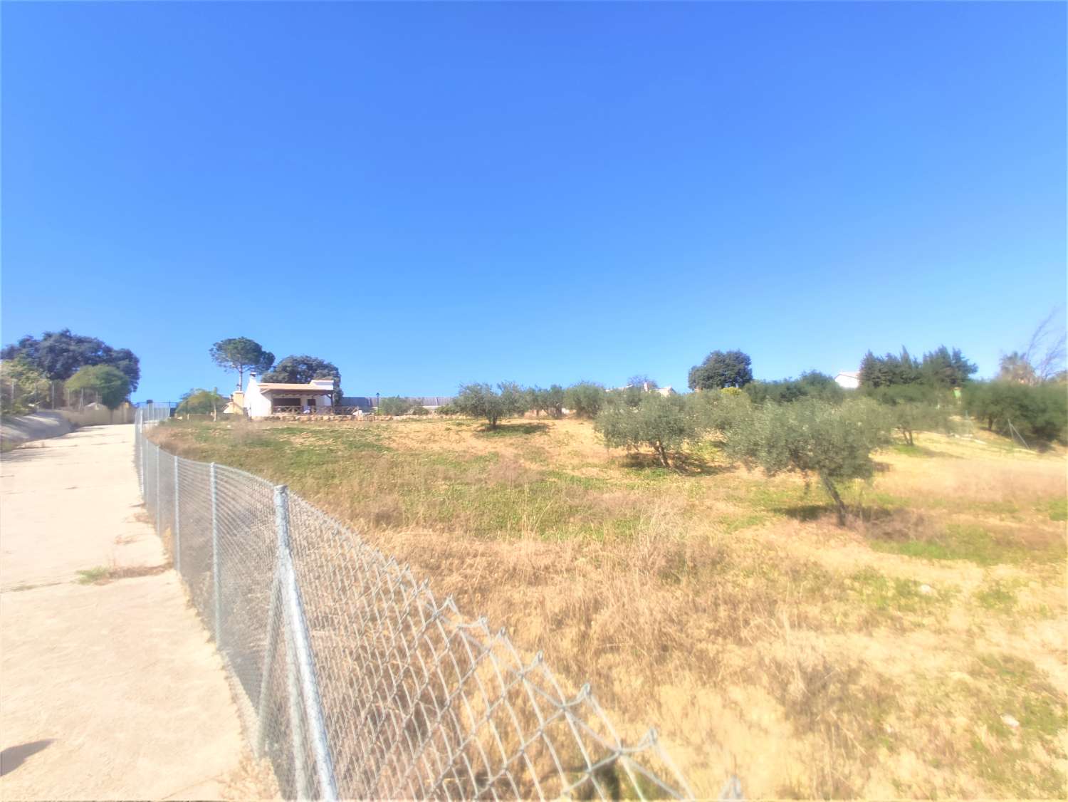 Finca Rustica en La Alquería con Casa