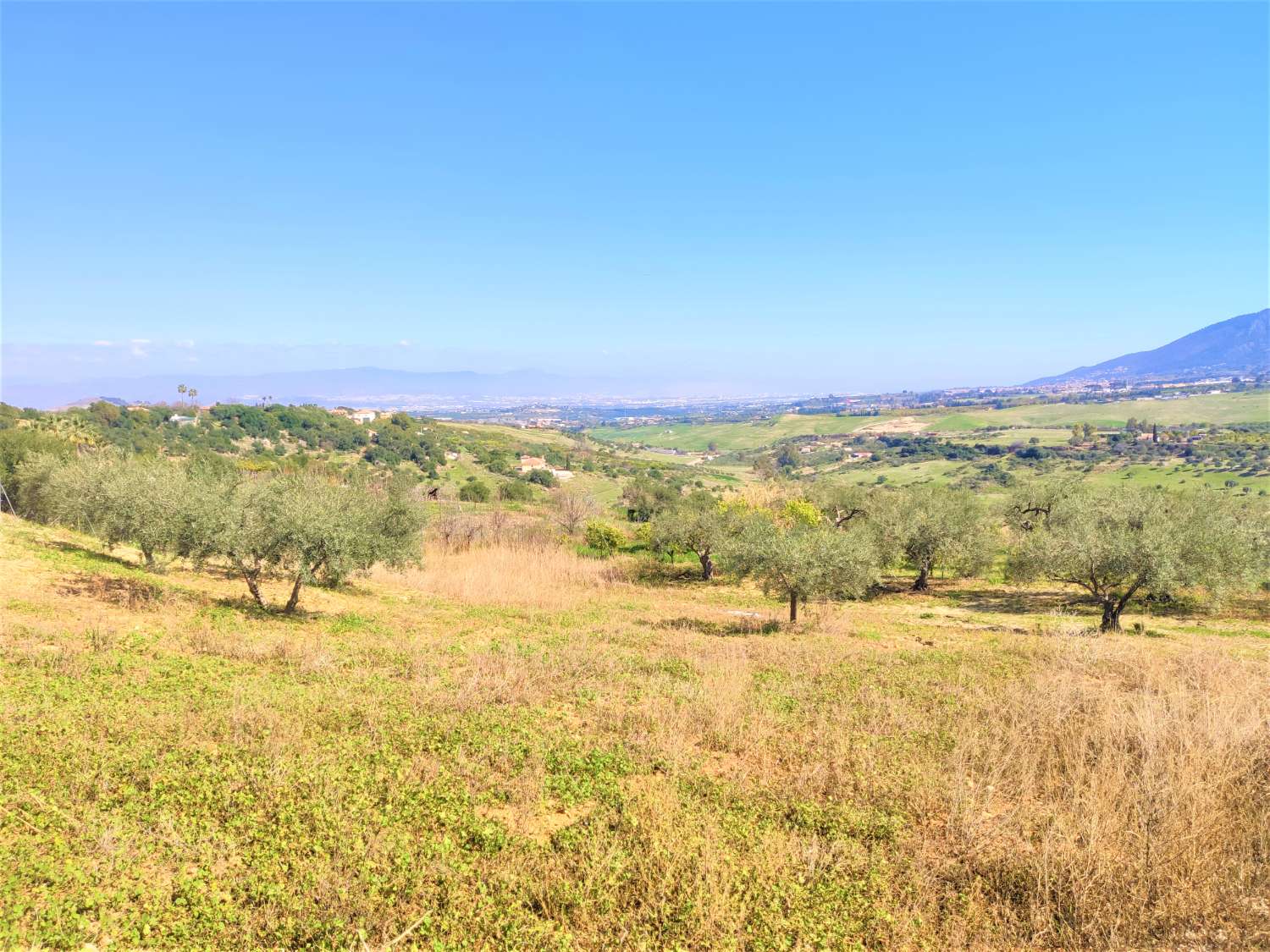 Finca Rustica en La Alquería con Casa