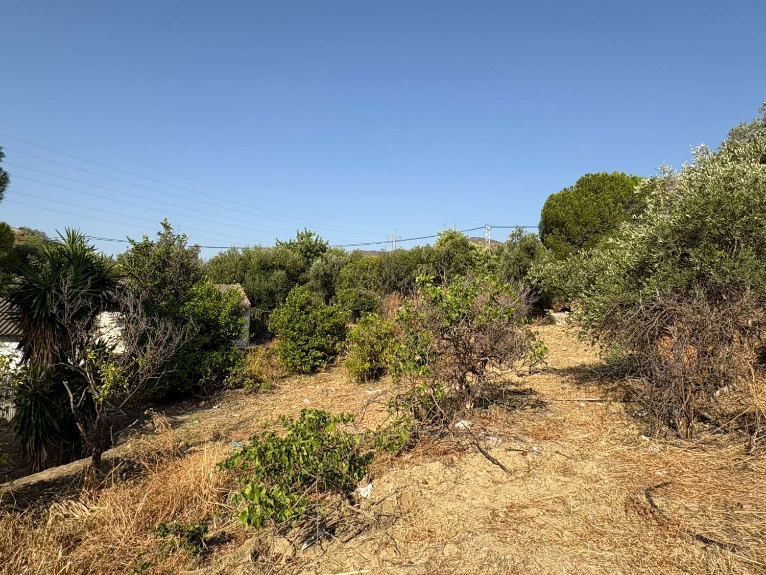 Finca de 6.000m2 junto a la A-45 a la entrada de la ciudad de Málaga
