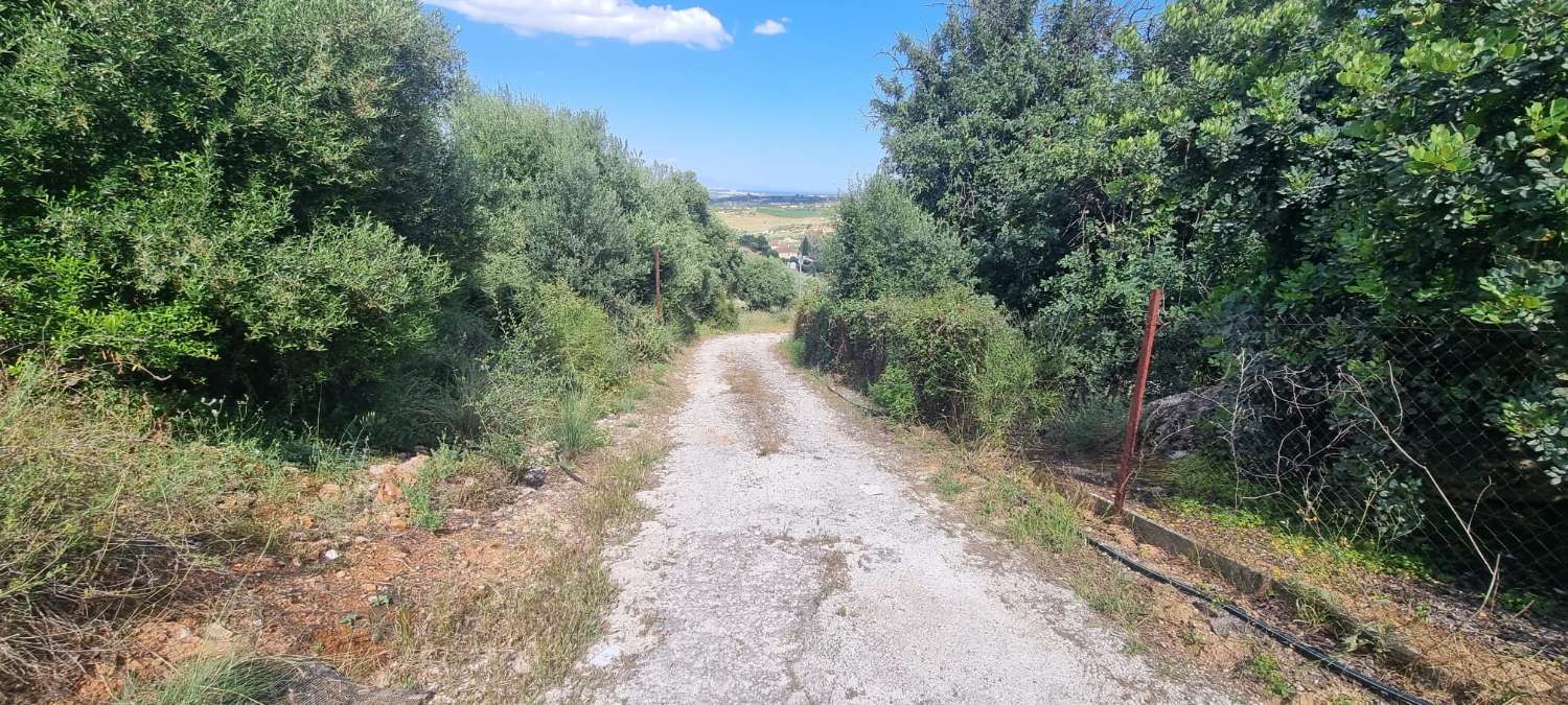 Rustic plot in La Alqueria