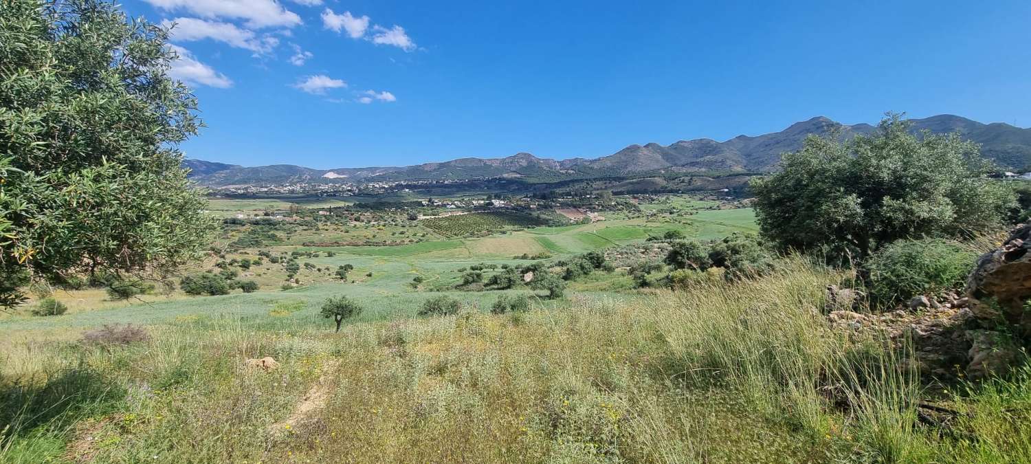 Rustic plot in La Alqueria