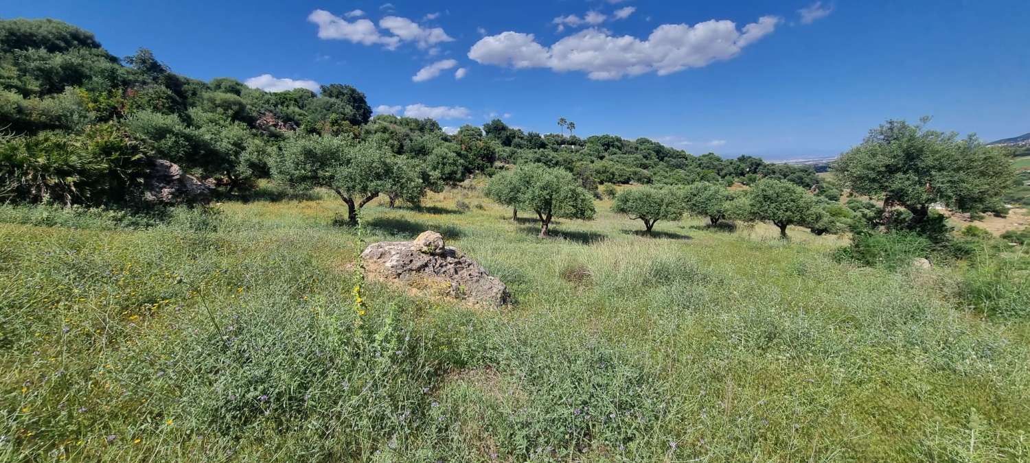 Rustic plot in La Alqueria