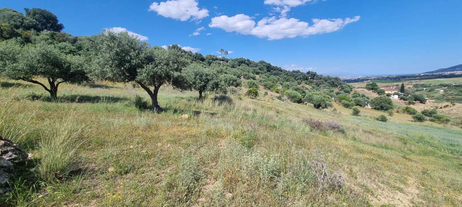 Rustic plot in La Alqueria