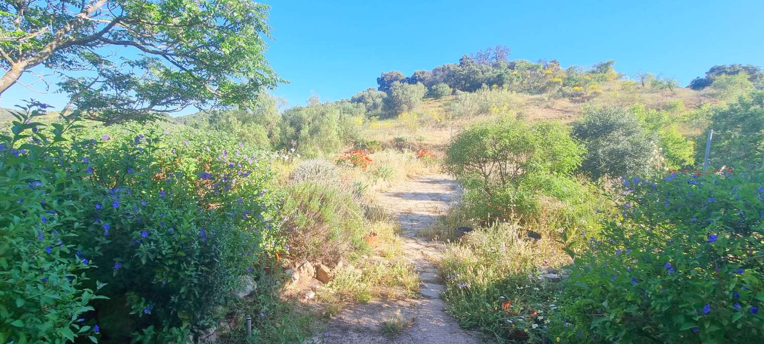 Espectacular finca rústica de 70.000 m² con vivienda de 284 m² y vistas 360º