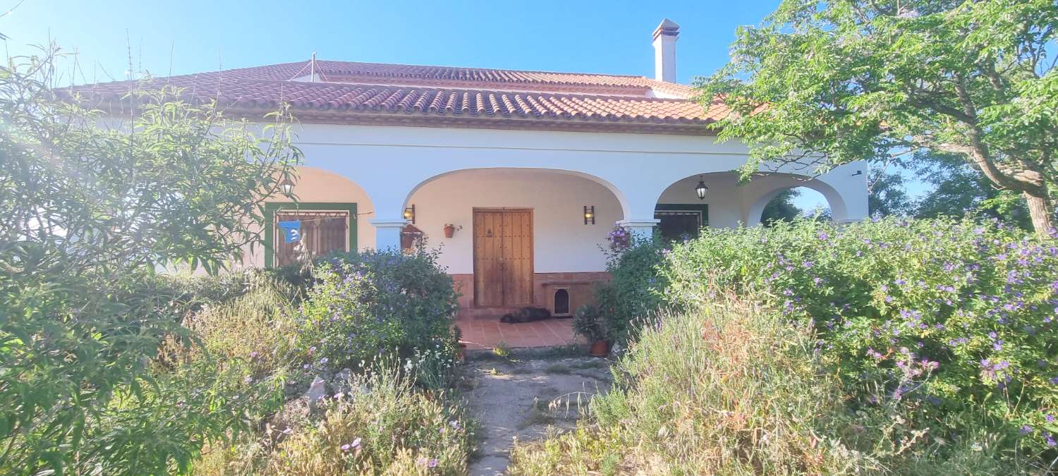 Espectacular finca rústica de 70.000 m² con vivienda de 284 m² y vistas 360º
