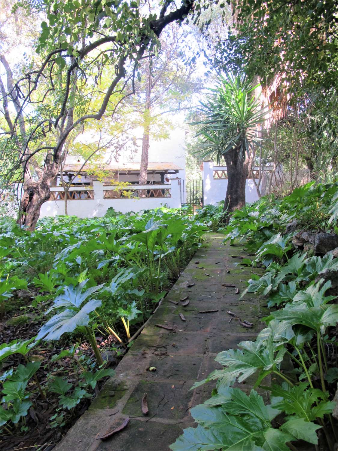 Chalet en zona única de Alhaurín de la Torre