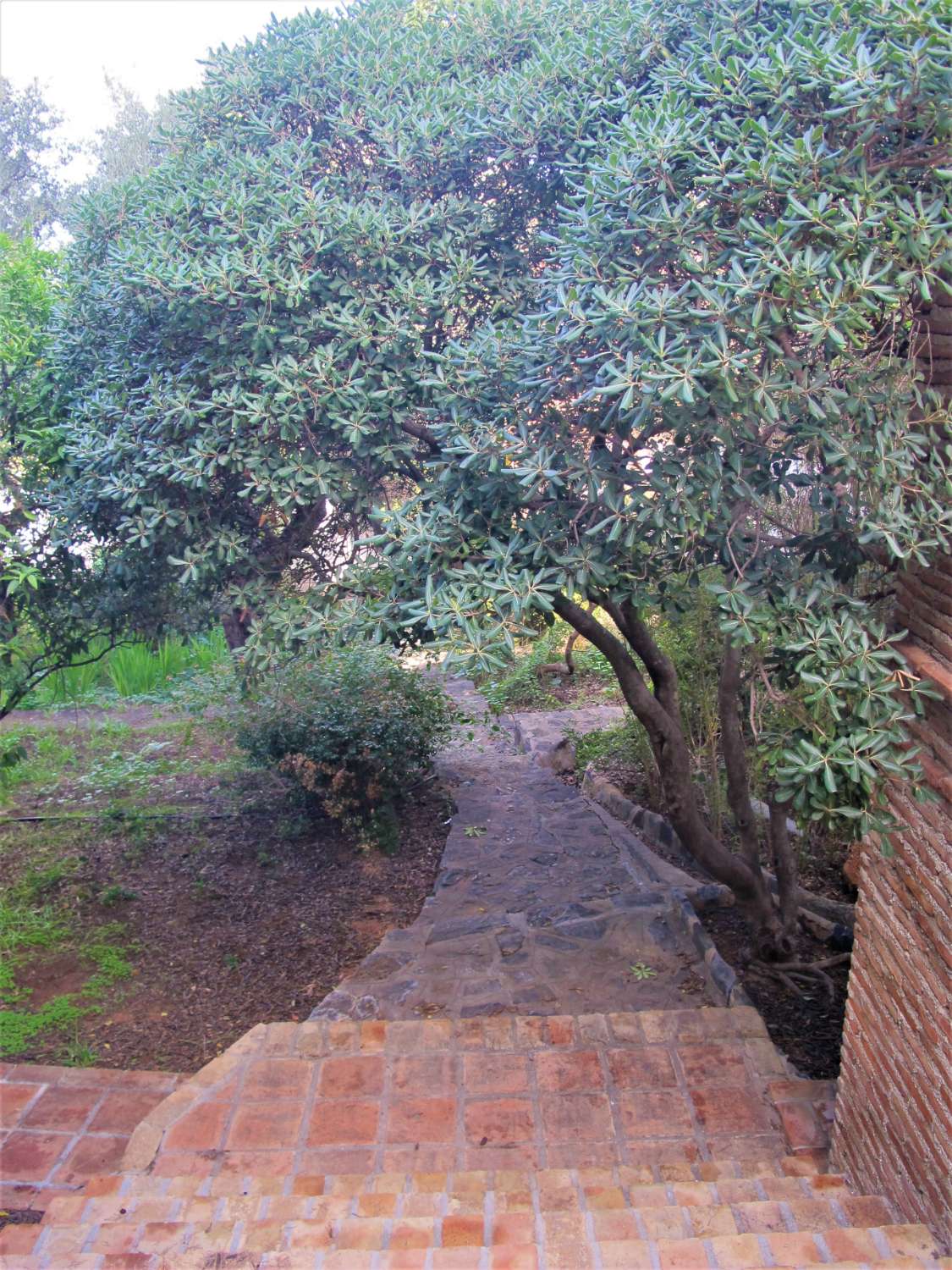 Chalet en zona única de Alhaurín de la Torre