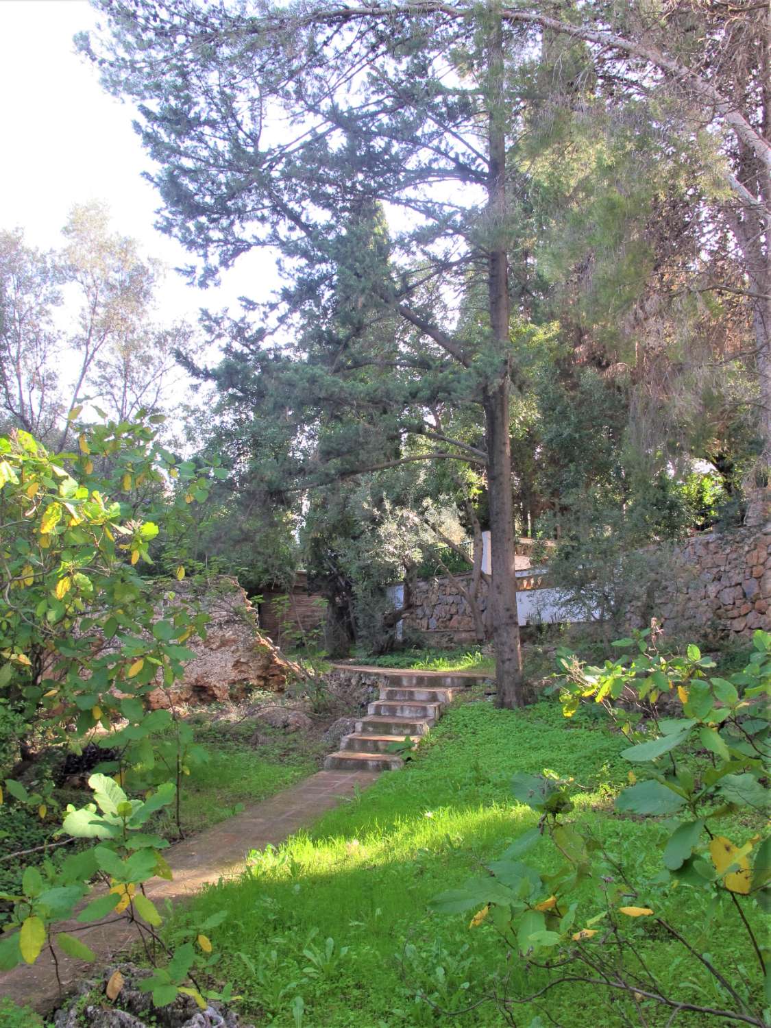 Chalet en zona única de Alhaurín de la Torre