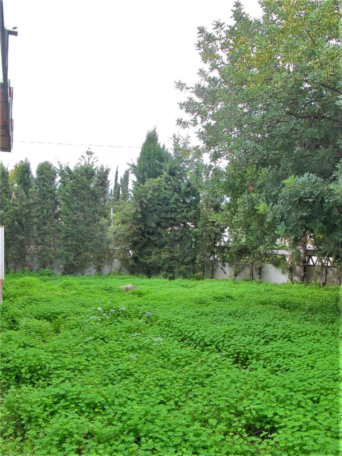 Chalet en zona única de Alhaurín de la Torre