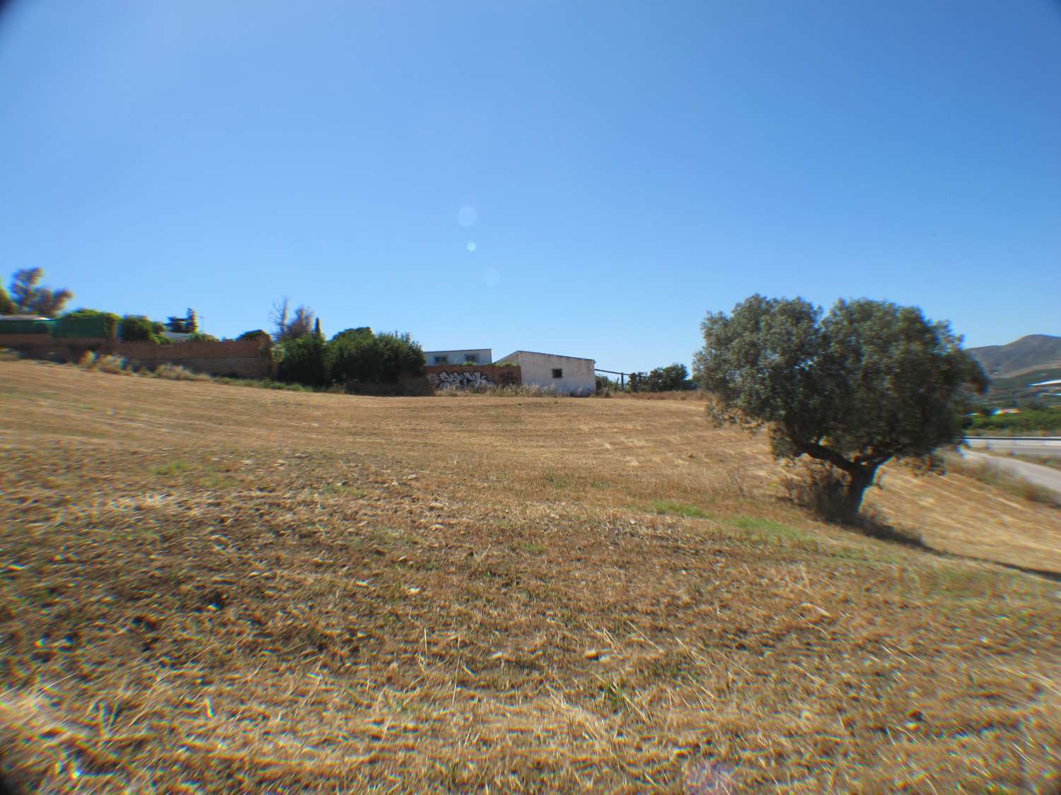 Rustic land of 14.000m2 very close to the town centre.