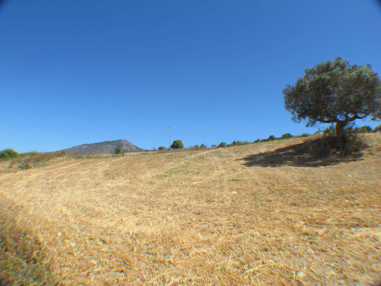 Rustic land of 14.000m2 very close to the town centre.