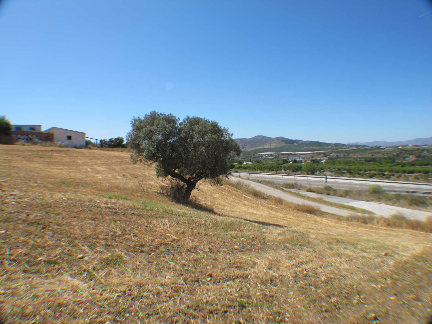 Terreno rústico de 14.000m2 muy cerca del casco urbano