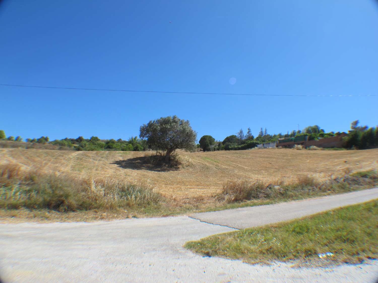 Terreno rústico de 14.000m2 muy cerca del casco urbano