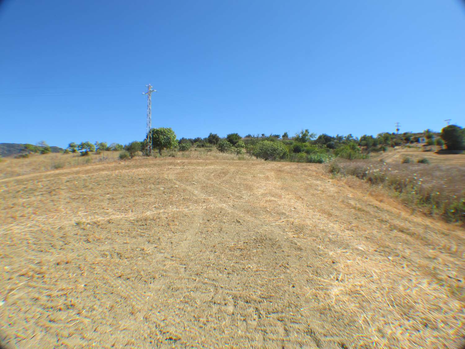 Rustic land of 14.000m2 very close to the town centre.