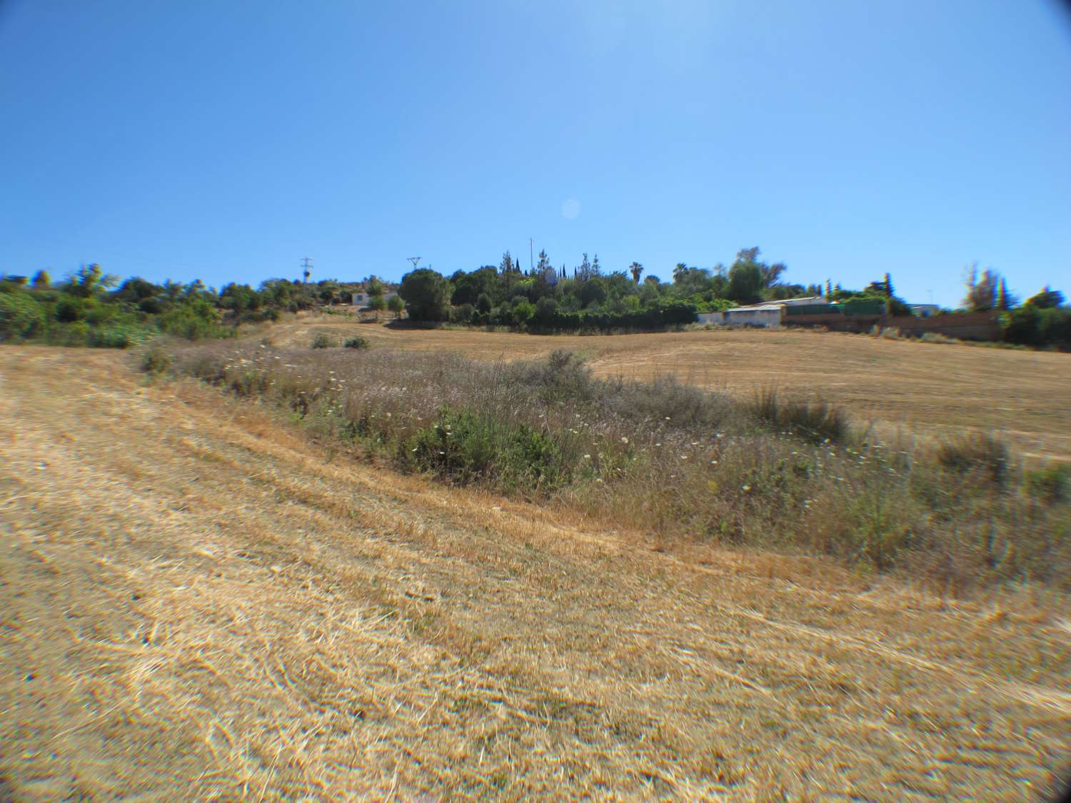 Rustic land of 14.000m2 very close to the town centre.