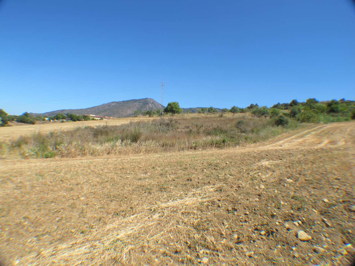 Rustic land of 14.000m2 very close to the town centre.